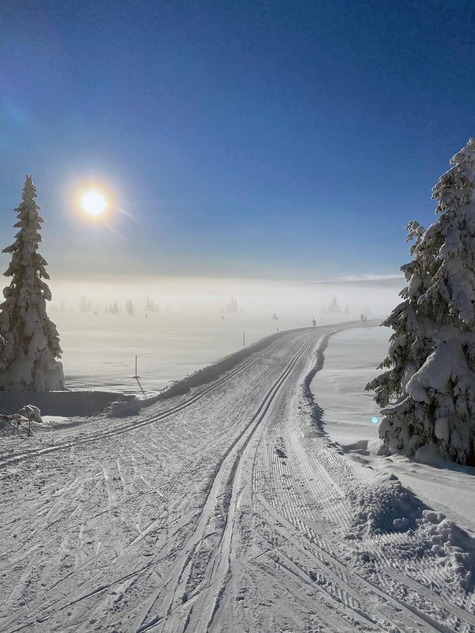 Lys Og Moderne Leilighet Rett Ved Skiloypa Pa Nordseter - Kort Vei Til Sjusjoen, Lillehammer Og Hafjell - Dyr Ikke Tillatt Ngoại thất bức ảnh