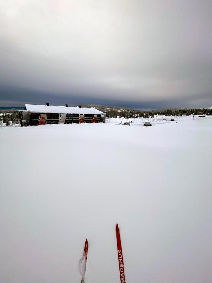 Lys Og Moderne Leilighet Rett Ved Skiloypa Pa Nordseter - Kort Vei Til Sjusjoen, Lillehammer Og Hafjell - Dyr Ikke Tillatt Ngoại thất bức ảnh