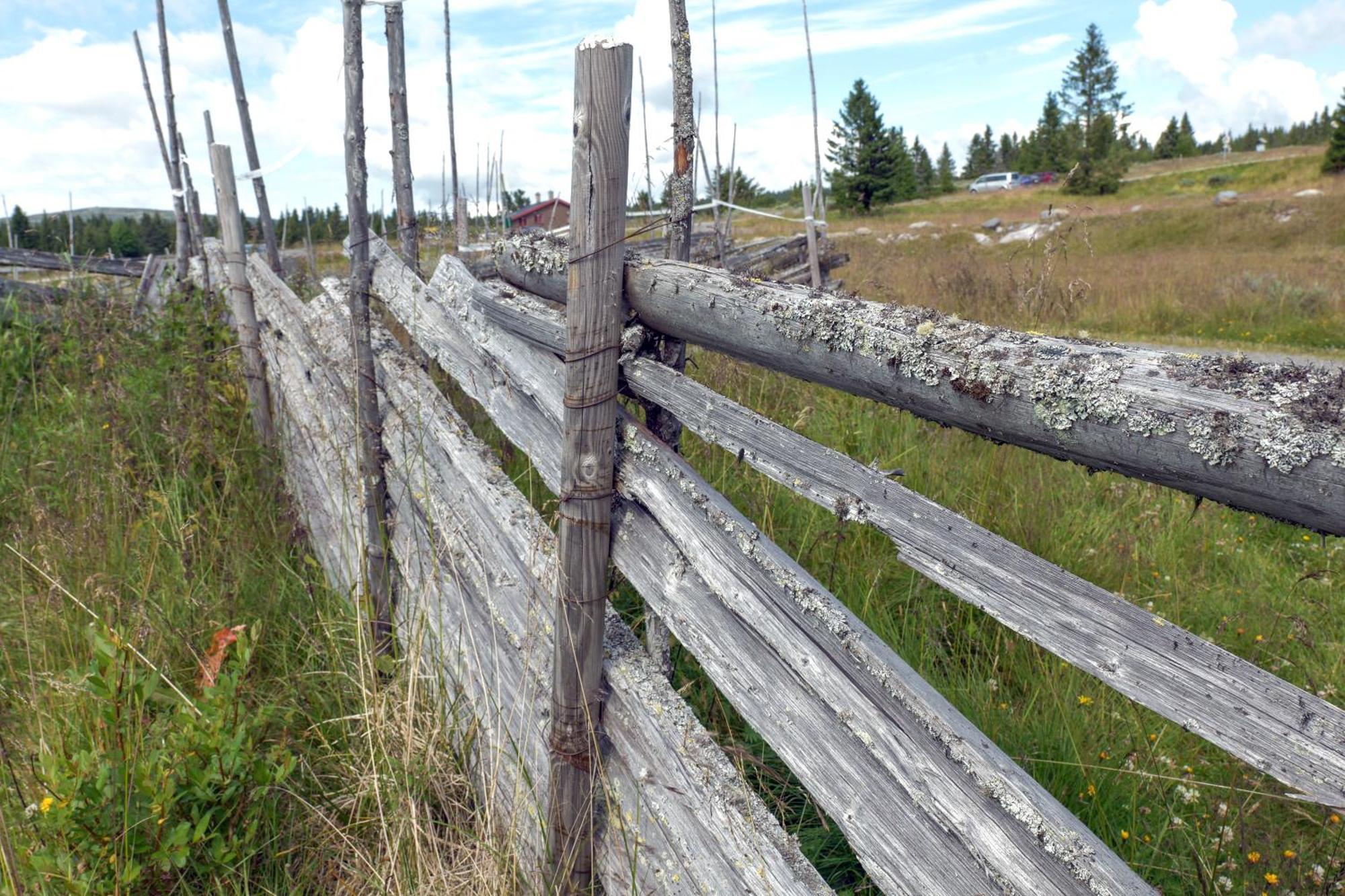 Lys Og Moderne Leilighet Rett Ved Skiloypa Pa Nordseter - Kort Vei Til Sjusjoen, Lillehammer Og Hafjell - Dyr Ikke Tillatt Ngoại thất bức ảnh